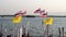 Phayao, Thailand - 2019-03-08 - many Thailand and buddhist flags flying on pier closeup