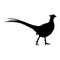 Pheasant Bird (Phasianus Colchicus) Standing On a Side View Silhouette Found In Map Of All Around The World.