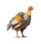 pheasant cartoon with colorful feather tail