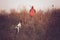 Pheasant hunter and bird dog in field