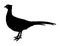 Pheasant silhouette vector art white background