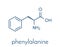 Phenylalanine L-phenylalanine, Phe, F amino acid molecule. Skeletal formula.