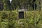 Pheromone trap against ips typographus in the middle spruce forest