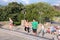 Philadelphia Rocky Steps