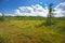 Philbrick-Cricenti Bog mat in New London, New Hampshire