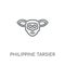 Philippine tarsier linear icon. Modern outline Philippine tarsie