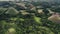 Philippines, Chocolate Hills aerial view: forest, greenery valleys, mosses meadows in spring daytime