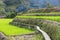 Philippines rice terrace