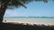 Philippines tropical beach view coconut palm tree