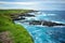 Phillip Island coastal area. landscape of Nobbies overlook Seal Rocks