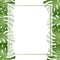 Philodendron Monstera Leaf Banner Card Border. Vector Illustration