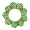 Philodendron Monstera Leaf Banner Wreath. Vector Illustration