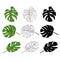 Philodendron tropical jungle leaves natural and outline and silhouette on white background vector illustration editable