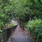 Philosopher Walk in Kyoto, Japan