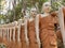 Phnom Sombok, many orange statues in single file, Kratie.