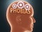 Phobias inside human mind - pictured as word Phobias inside a head with cogwheels to symbolize that Phobias is what people may