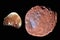 Phobos and Deimos the moons of Mars. Elements of this picture furnished by NASA