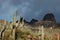 Phoenix, Arizona. Apache Trail scenery