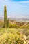 Phoenix Arizona Desert With Saguaro Cactus and Cityscape