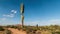 Phoenix Arizona desert time lapse with cactus and clouds