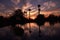 Phoenix Park Silhouetted at Sunset