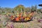 Phoenix/Tempe, Arizona, Botanical Garden: Chihuly Installation `Fiori Boat`