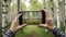 A phone filming a birch grove.