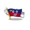 With phone flag liechtenstein mascot with isolated character