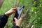 Phone lenses for macro photography. A woman holds a mobile phone with a macro attachment in her hands and takes pictures of plants