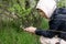 Phone lenses for macro photography. A woman holds a mobile phone with a macro attachment in her hands and takes pictures of plants