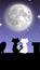 Phone screensaver. A pair of cats on the roof of the house looking at the starry sky