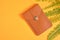 phone and wallet bag and fern on orange background, eeo vegan leather from plants concept copy space