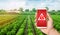 A phone and a warning sign on the background of plantations of sweet Bulgarian bell pepper. harmful pesticides and chemicals in