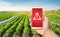 A phone and a warning sign on the background of a potato plantation field. The use of harmful pesticides and chemicals