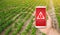 The phone warns of the danger on the sweet pepper plantation farm field. Monitoring and analysis of presence of chemicals, heavy