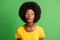 Phoro of charming happy lovely afro american woman send air kiss flirt isolated on green color background