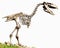 Phorusrhacidae carnivorous flightless birds replica fossil