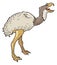 phorusrhacos bird dinosaur ancient vector illustration transparent background
