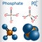 Phosphate anion molecule . Structural chemical formula and mole