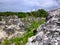 Phosphate rocks in Nauru 3rd smallest country in the world, South Pacific