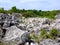 Phosphate rocks in Nauru 3rd smallest country in the world, South Pacific