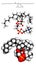 Phosphatidylcholine (PC) cell membrane building block, molecular