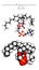 Phosphatidylcholine PC cell membrane building block molecule.