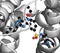 Phosphodiesterase 5 (PDE5) enzyme. Inhibition of this enzyme is the mechanism of action of sildenafil, tadalafil and vardenafil,