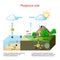 Phosphorus cycle. biogeochemical cycle