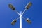 Photo of 4 city street light lamps on a background of blue clear sky