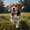 A photo of an amazingly cute, funny and charming beagle dog on a beautiful background.