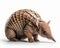 photo of armadillo isolated on white background. Generative AI