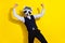Photo of astonished office employee rejoice goal attainment wear raccoon mask vest isolated yellow color background