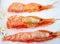 Photo background with macro of delicious large tasty shrimp